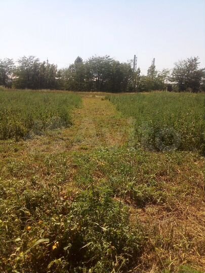 Участок 12 сот. (ИЖС)