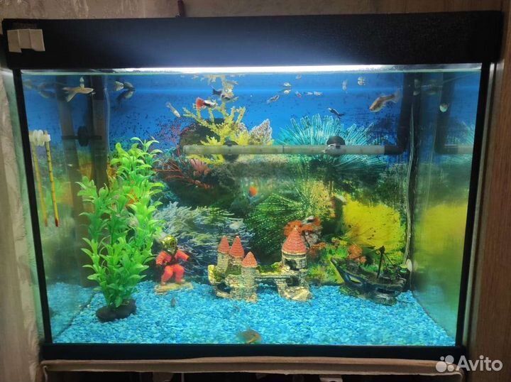 Аквариум 75л с рыбками