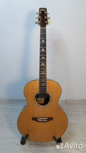 Гитара Dakota BH-1 полный массив + Skysonic t-903