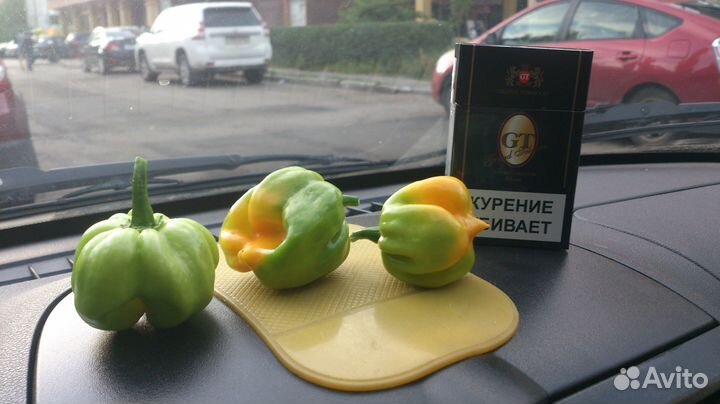 Семена острых сортов перцев