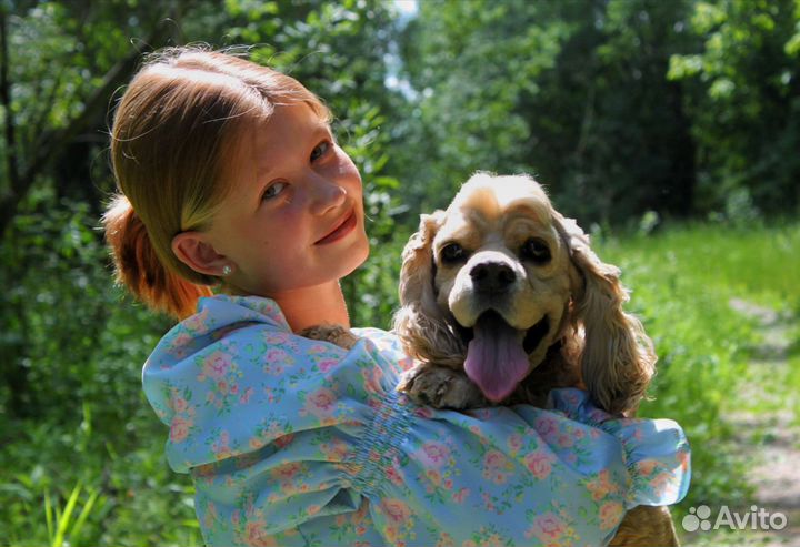 Фотограф-видеограф