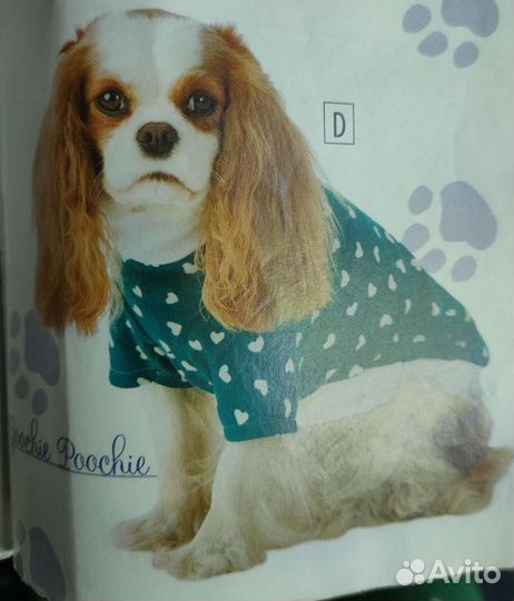 Одежда для собак (выкройка)