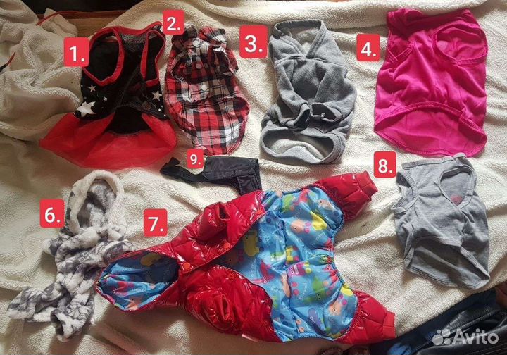 Одежда для маленьких собак