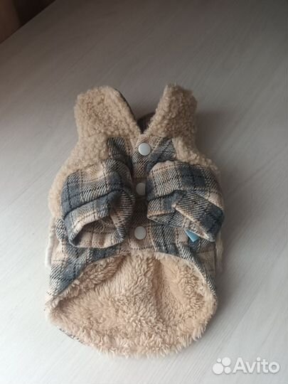 Одежда для маленьких пород собак