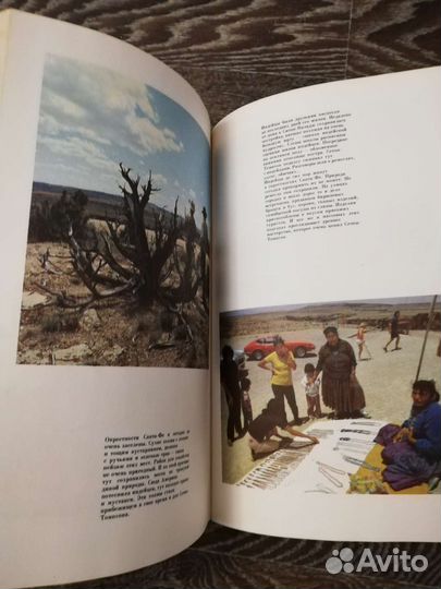 Животные герои