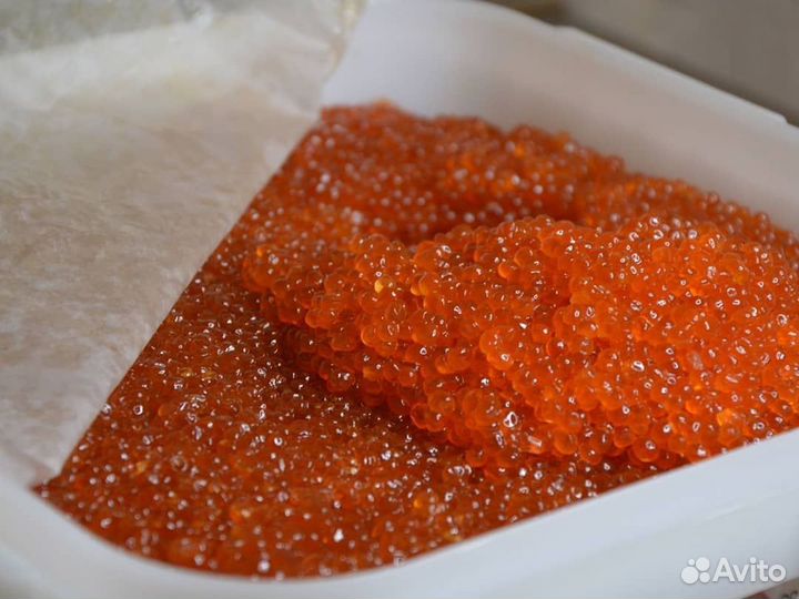 Красная икра Горбуша, Нерка, Кета, Кижуч