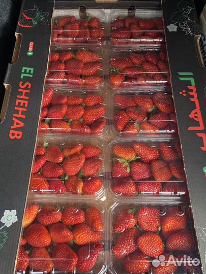 Клубника свежая оптом