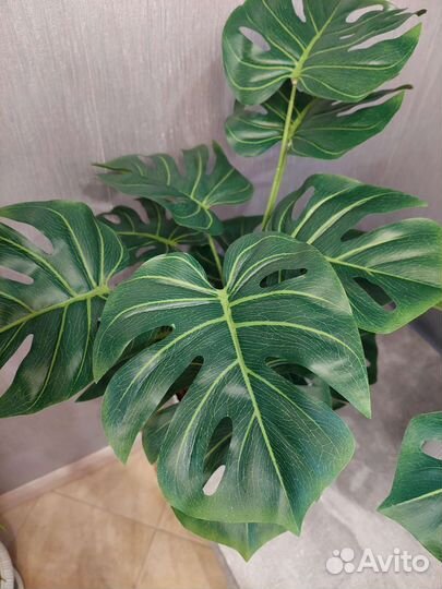 Искусственные цветы, растение Монстера