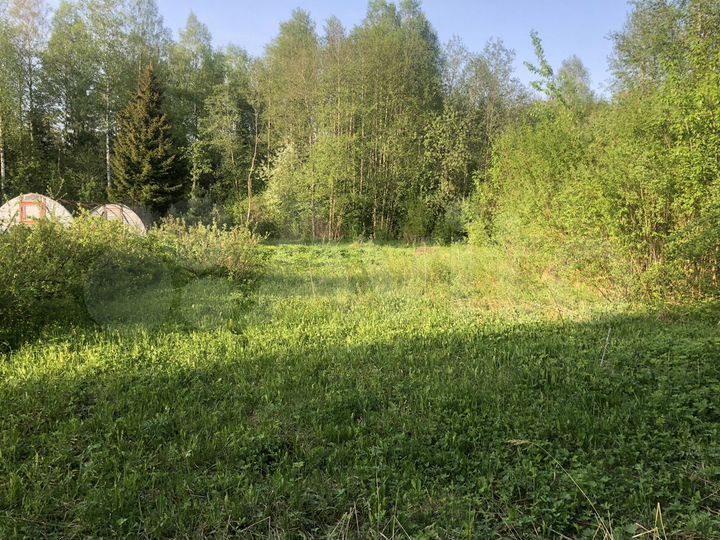Участок 10 сот. (СНТ, ДНП)