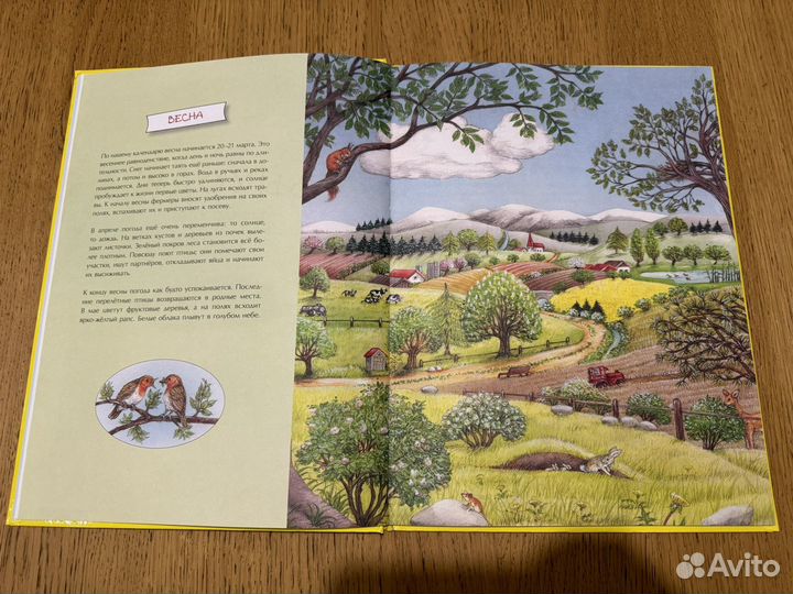 Сюзанна Риха книга 