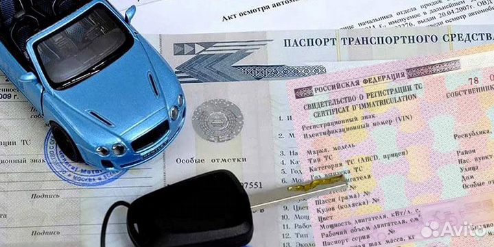 Оформитель в автосалон