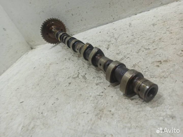 Распредвал выпускной A1190501817