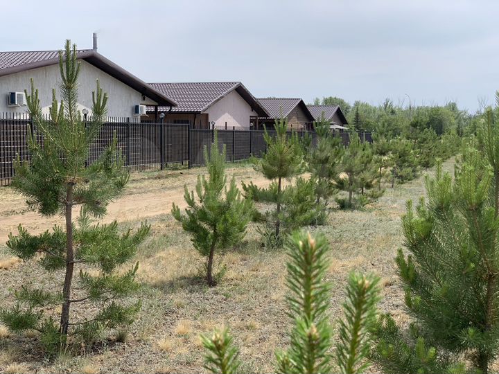 Комната 25 м² в 1-к., 1/1 эт.