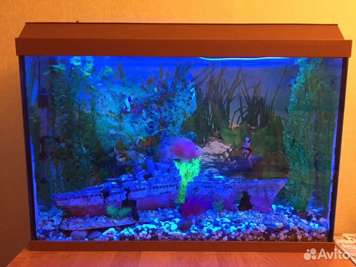Аквариум