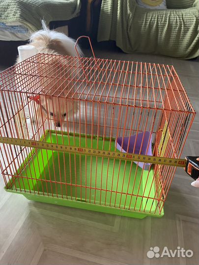 Клетка для грызунов