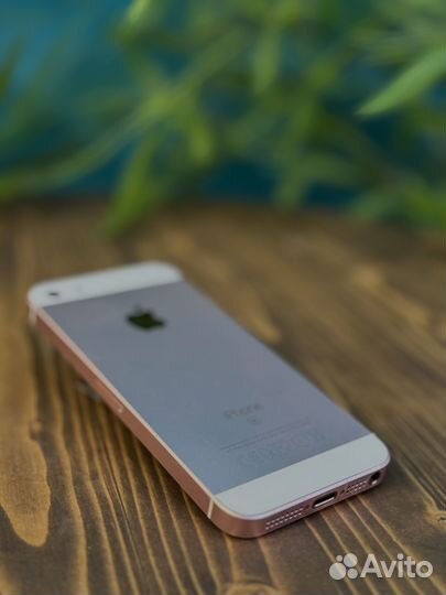 iPhone SE, 16 ГБ