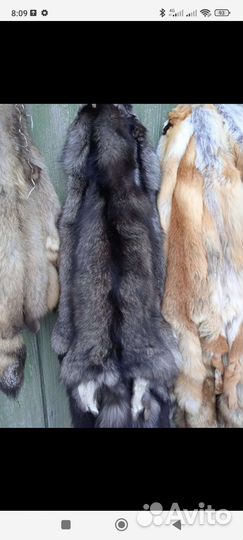 Мех енота