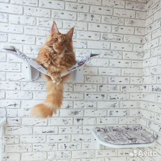 Домик и когтеточка для кошек