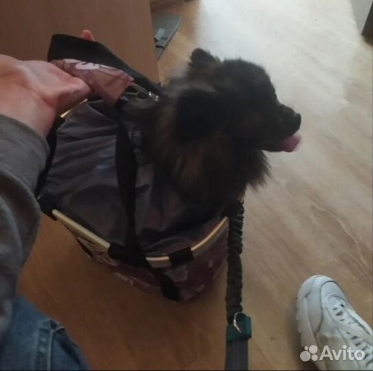 Корзина для велосипеда