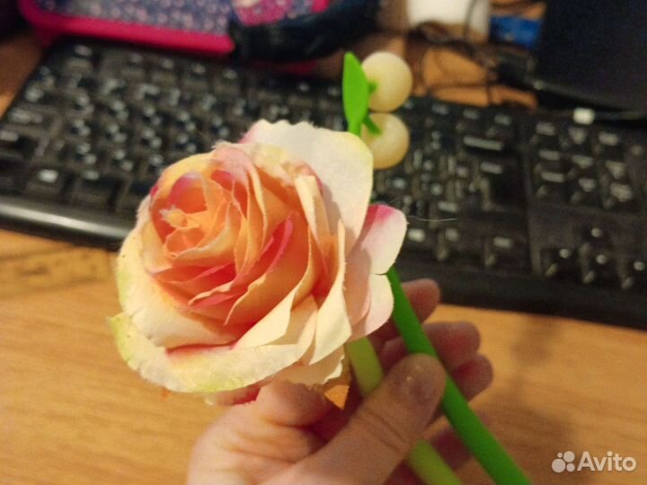 2 футляра-ручки (без стержня)