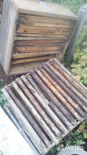 Рамки для ульев бу