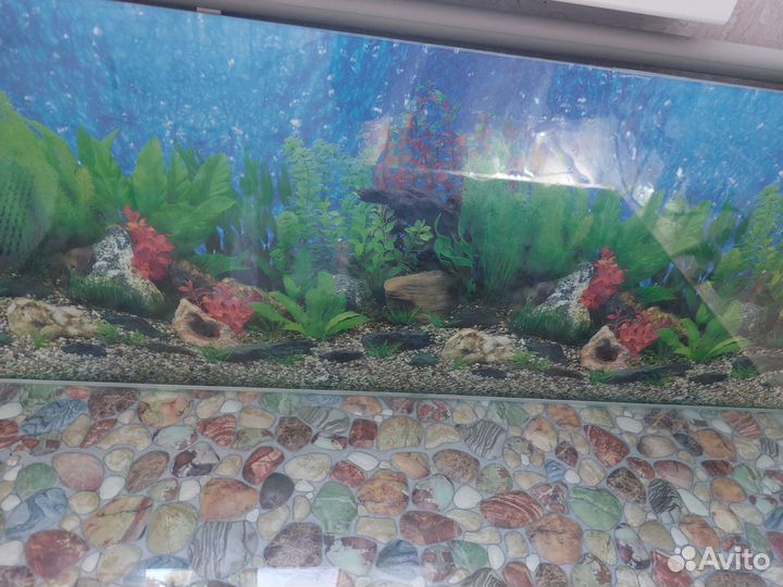 Аквариум (террариум) 170 литров