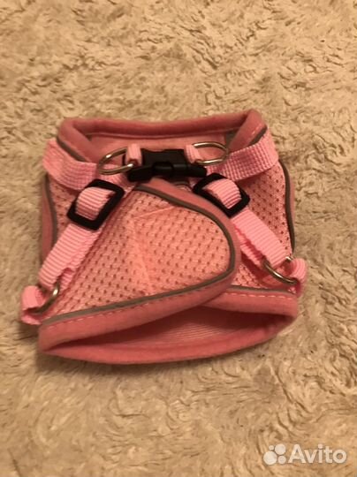 Шлейка для собак мелких пород