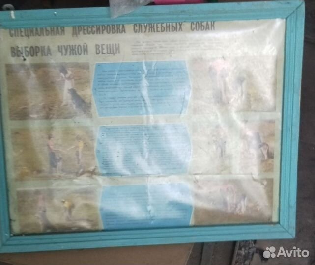 Обучающие плакаты по кинологии