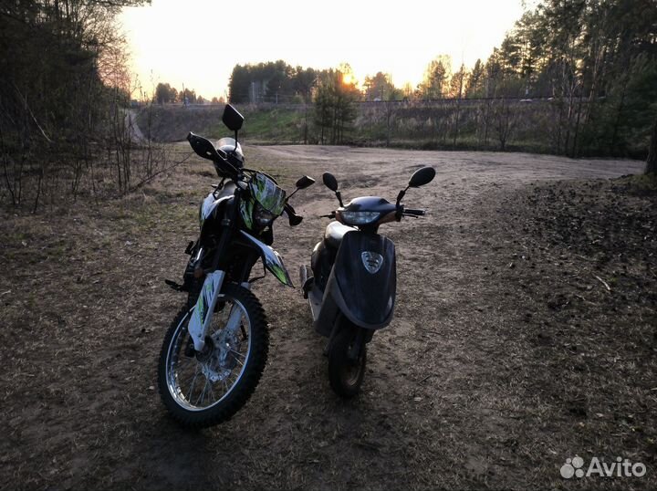 Racer Panther 300