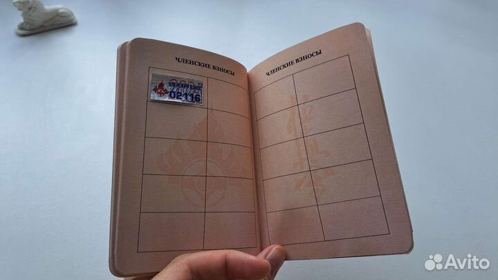 Паспорт киокушинкай