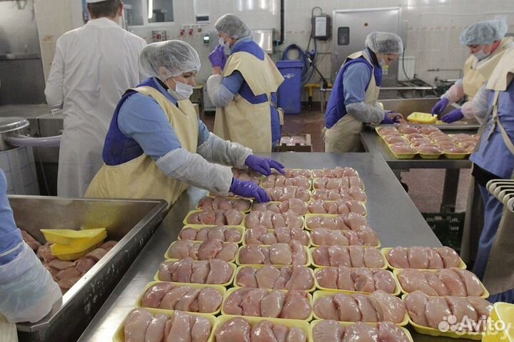 Фасовщик на куриное производство