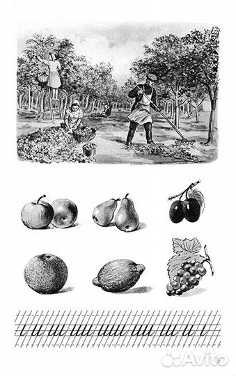 Сталинский букварь 1952