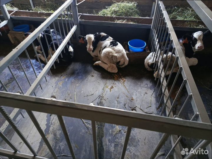 Конвейерная лента бу любые размеры