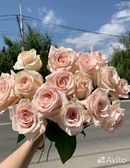 Букет из роз