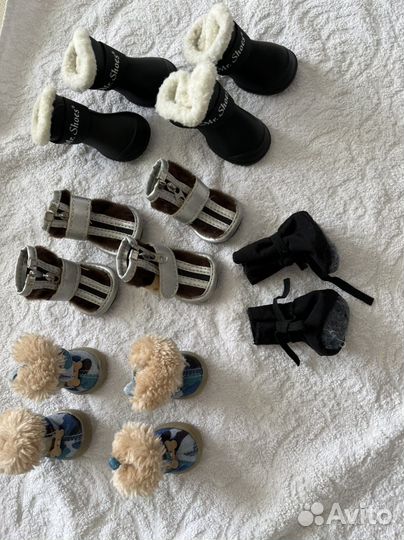 Ботинки для маленьких собак