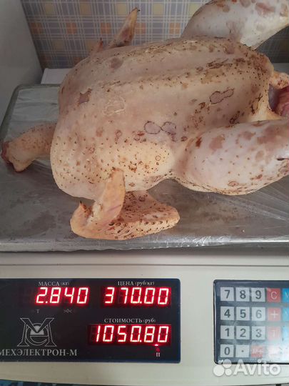Мясо домашнего бролера