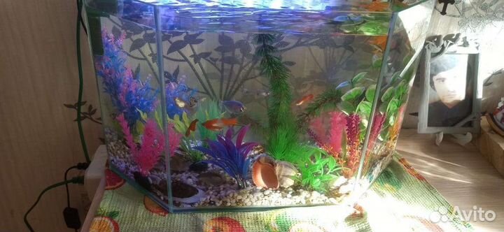 Аквариум