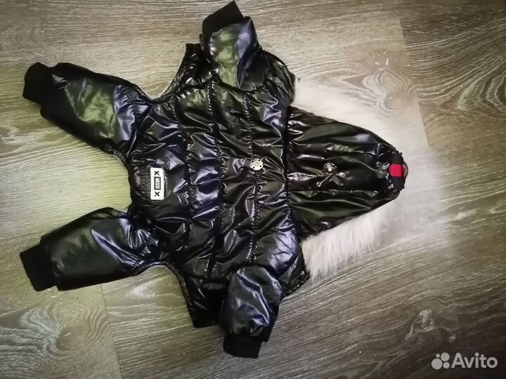 Собачий комбинезон