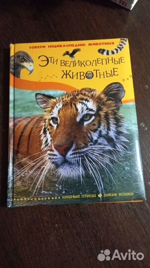 Книги серии 