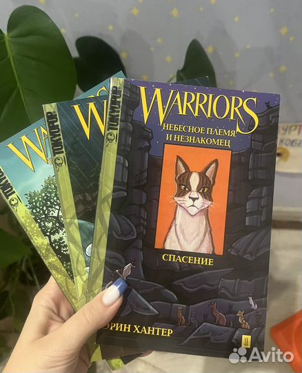 Коты Воители все книги