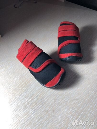 Обувь для собак мелких пород