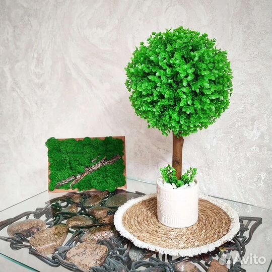 Искусственный самшит