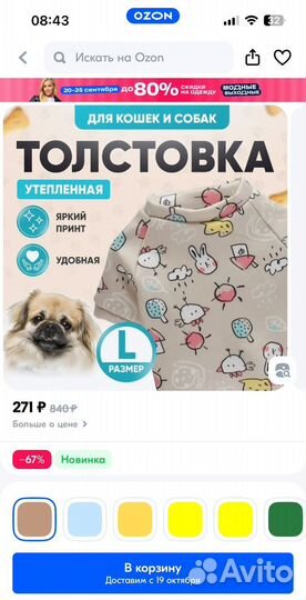 Толстовка для собаки