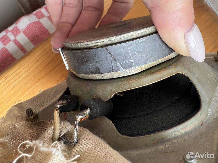 Динамик СССР