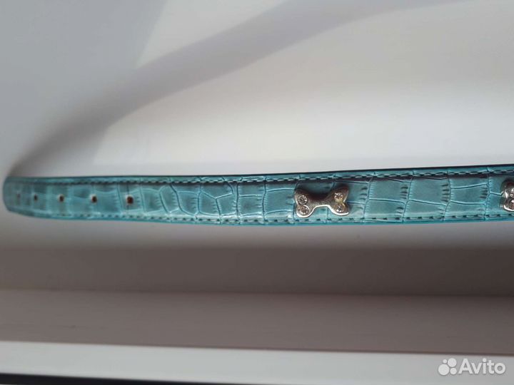 Ошейник для собак