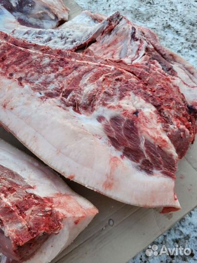 Мясо венгерской мангалицы