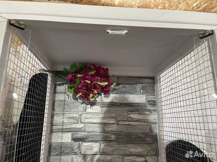 Большой вольер для птиц, грызунов. Доставка