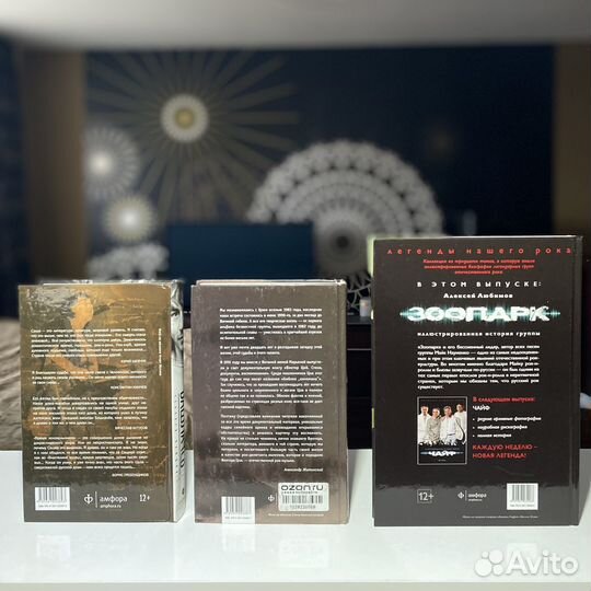 Книги про рок музыкантов: Башлачев, Цой, Науменко