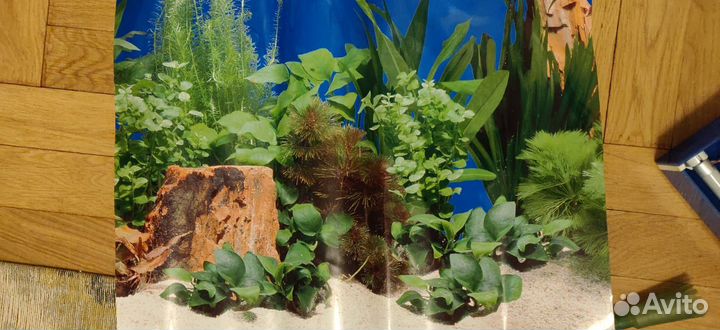 Аквариум 50 литров