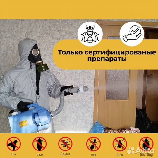 Уничтожение клопов, тараканов, кротов. Дезинфекция